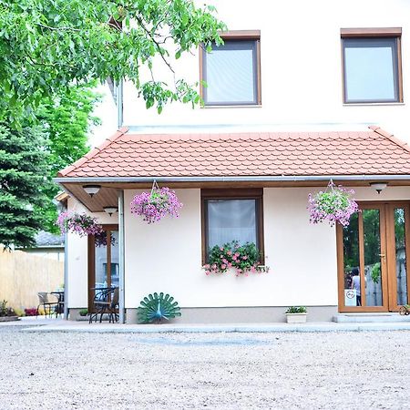 Pava Apartmanhaz Makó Dış mekan fotoğraf