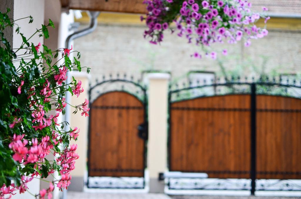 Pava Apartmanhaz Makó Dış mekan fotoğraf